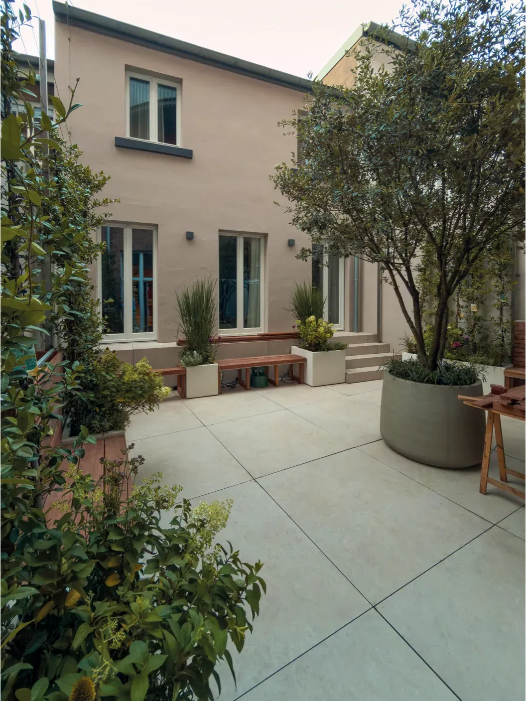 Der Garten im Hof des Roggenmarkt 1 mit Steineiche und Rankwand